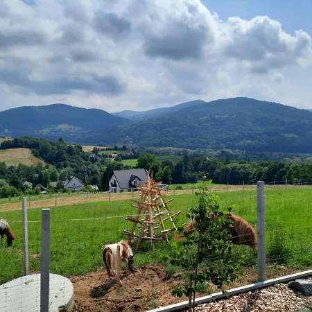 Domki- Limanowa, Z Balia I Sauna Holiday home *